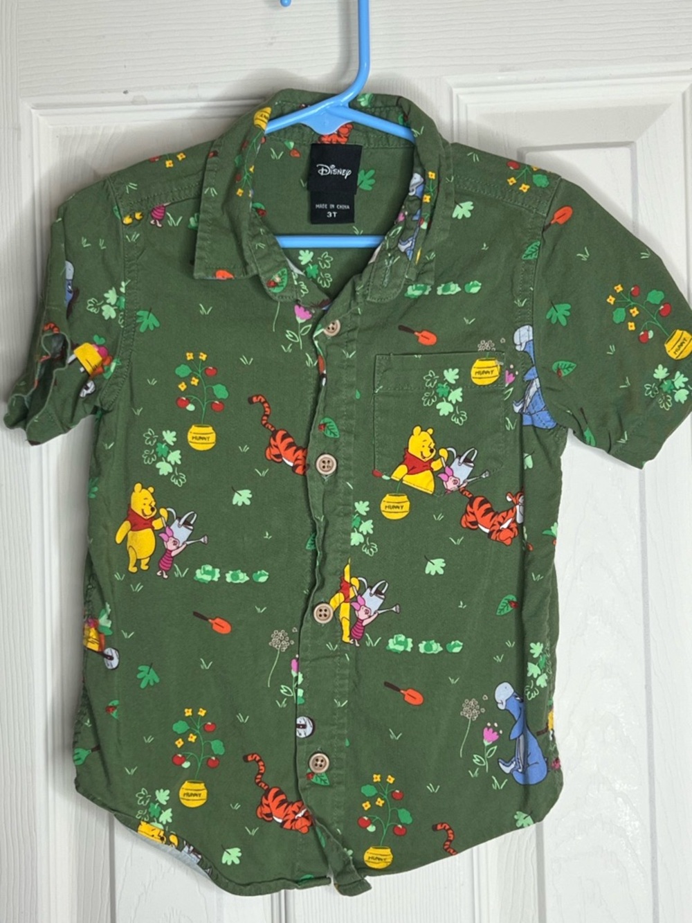 Disney Winnie The Pooh Earth Day Button Up Toddler 3T Box Lunch Exclusive Garden